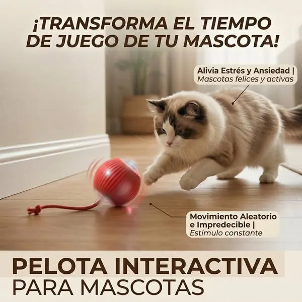 FeliRoll - Estimula su instinto de juego