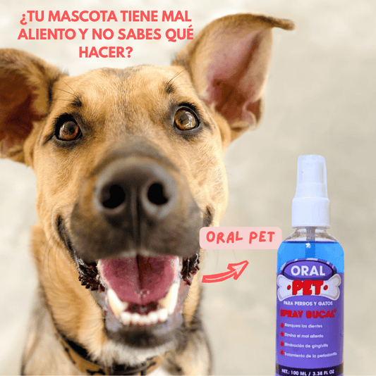 Oral Pet Spray  - Boca limpia sin esfuerzo