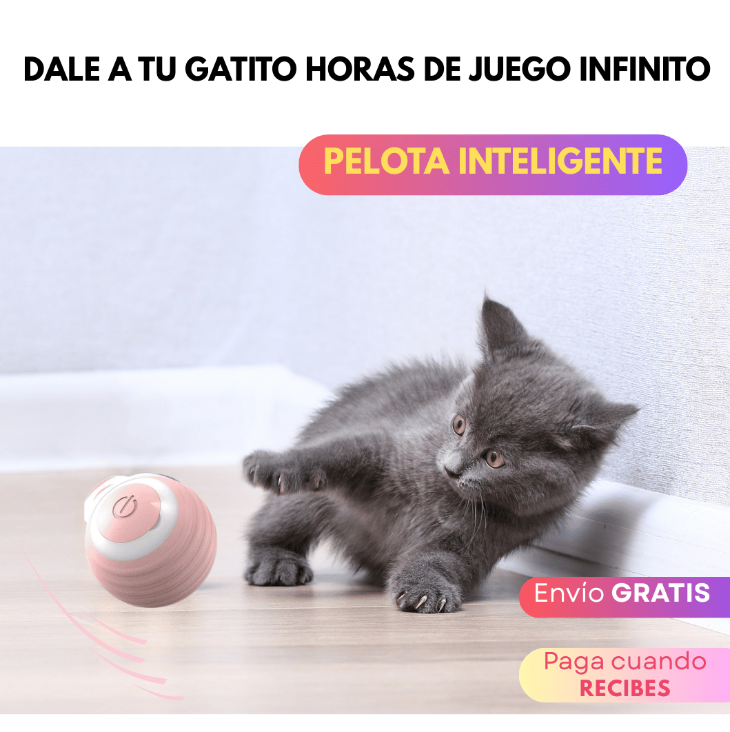 Pelota interactiva para mantener a tu gato entretenido