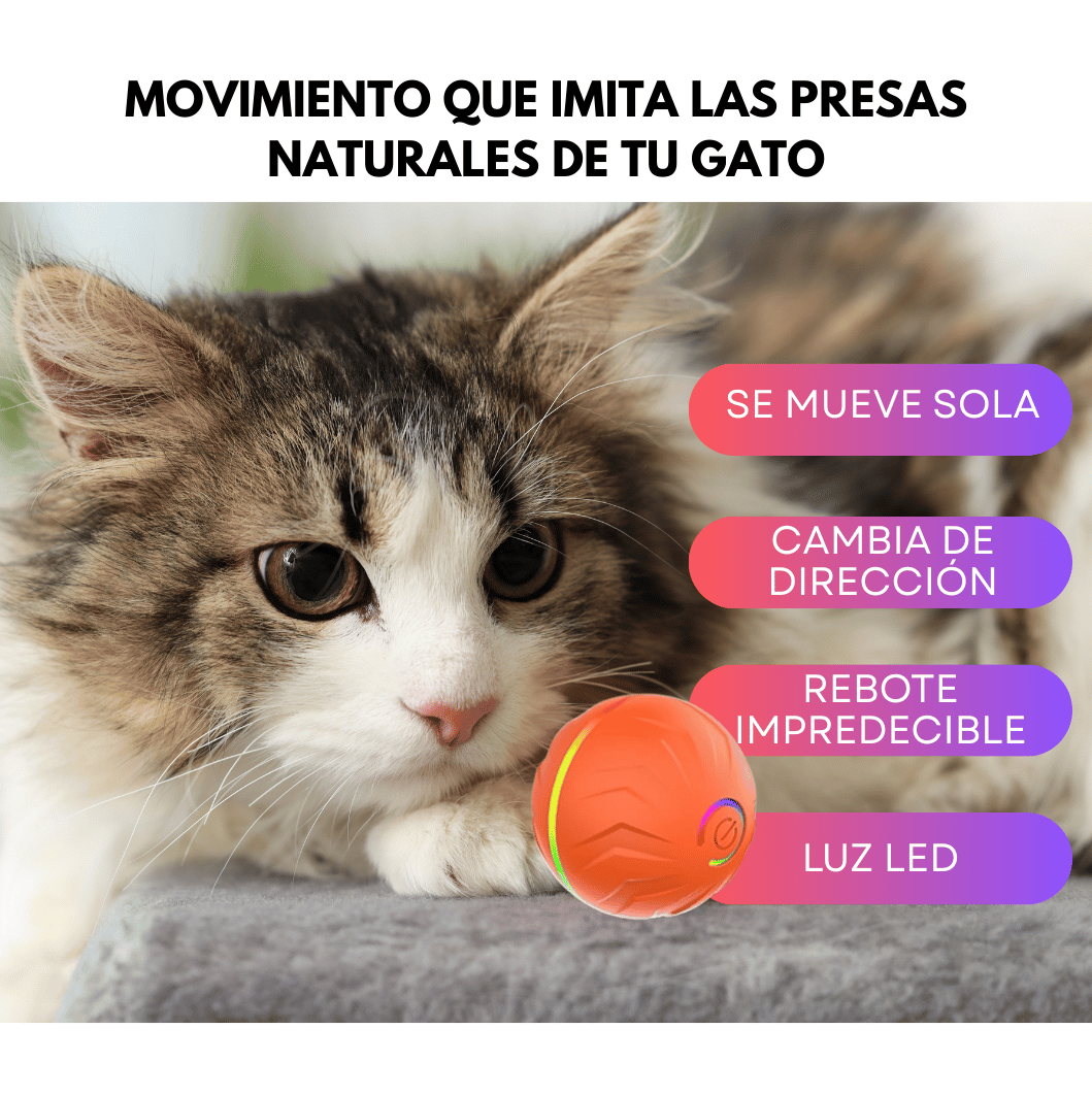 Pelota interactiva para mantener a tu gato entretenido