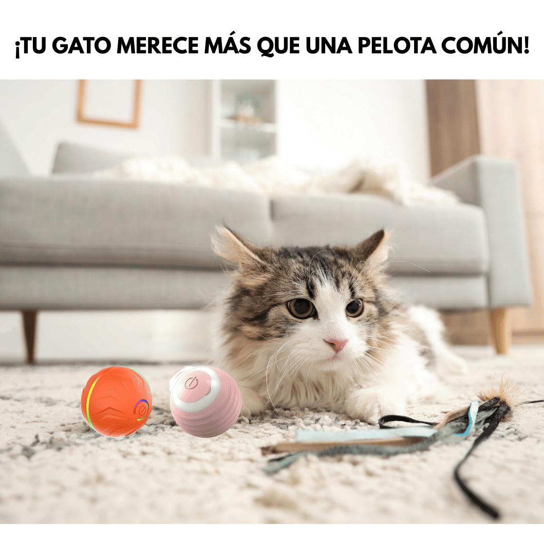 Pelota interactiva para mantener a tu gato entretenido